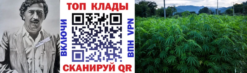 Виды наркоты Пустошка Cocaine  Мефедрон  A PVP  Конопля 
