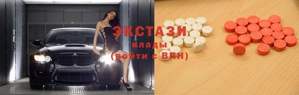стаф Аркадак