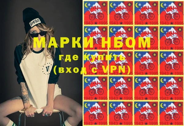 стаф Аркадак