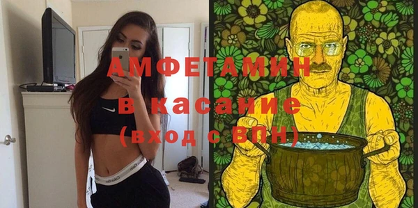 стаф Аркадак
