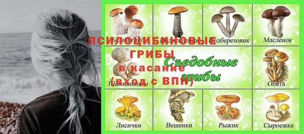 прущие крисы Алзамай