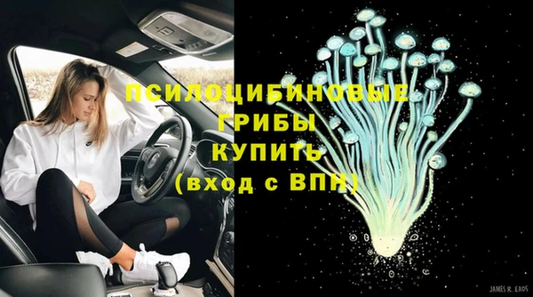 мдпв Армянск