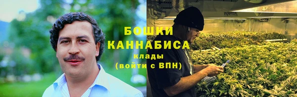 ПСИЛОЦИБИНОВЫЕ ГРИБЫ Алексеевка