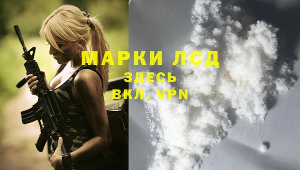 стаф Аркадак